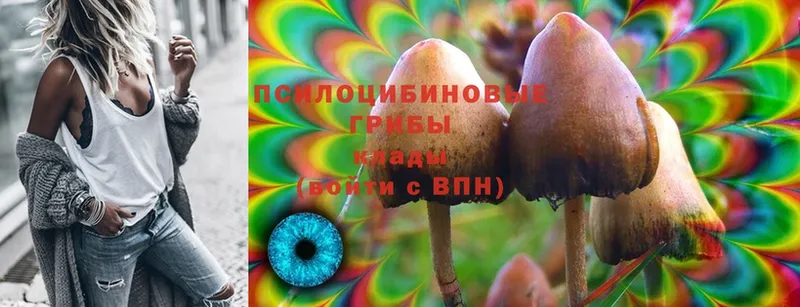 Галлюциногенные грибы Cubensis  Армавир 